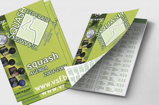 Vlaamse squash federatie
